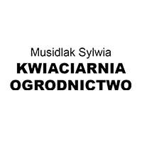 Bukieciarnia Kwiaciarnia Sylwia Musidlak - Witkowo, Stary Rynek 6