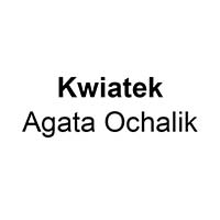 Kwiaciarnia Kwiatek Agata Ochalik - Rzeszów, Towarnickiego 7